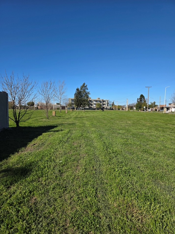 Venta de lotes s/Ruta 21 unicos para uso comercial o residencial.  3.047 m2  y 931,46 m2 juntos o separados