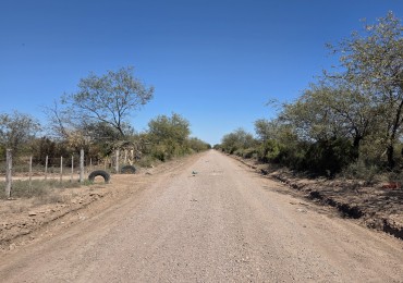 CAMPO  COLONIA DORA  56 HAS  A 900 MTS. DE LA RUTA  N° 34 - 