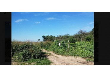 VENDO  886 HAS - DISTRITO TOBAS - DPTO. IBARRA - STGO. DEL ESTERO - PAPELES AL DIA 